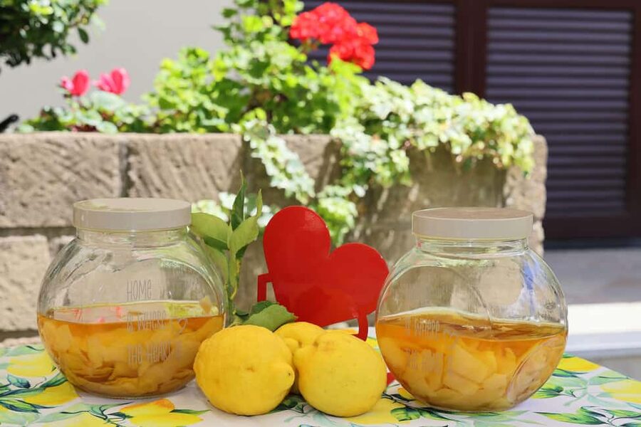 From Sorrento to Meta: cook with a local family and enjoy the garden!! - Who’s running the show: Valentina, Antonio, and family rhythm