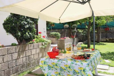 From Sorrento to Meta: cook with a local family and enjoy the garden!! - The garden tour and citrus scent: what you notice before you cook