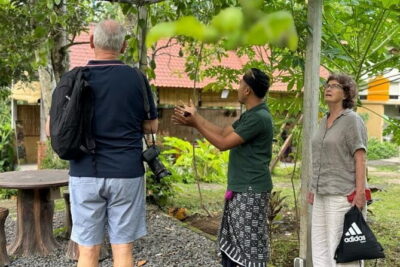 From Ubud: Authentic Cooking Class Visit Traditional Market - In the Kitchen: From Sauces and Pastes to a Full Meal