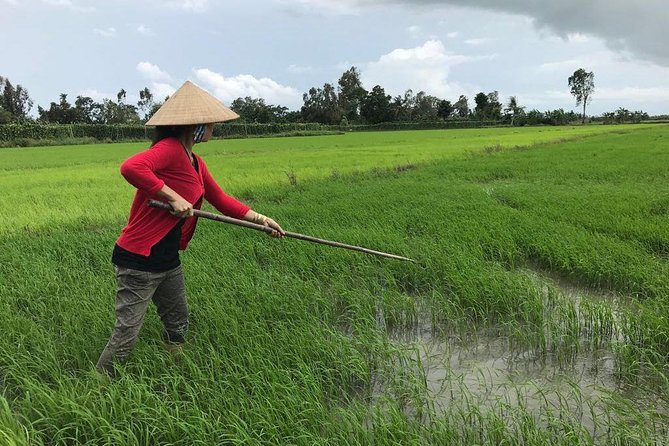 FULL Day - CAI RANG FLOATING MARKET, COOKING CLASS AND EXPLORE THE COUNTRYSIDE - Who This Tour Fits Best (and Who Might Want Another Option)