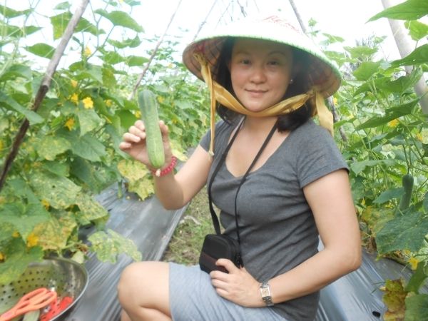 Full-Day Farming & Cooking class at Agricultural Village - Key Things I’d Highlight Before You Go