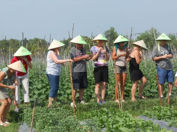 Full-Day Farming & Cooking class at Agricultural Village - Cu Chi Farms: A Day Trip That Turns Food into a Lesson