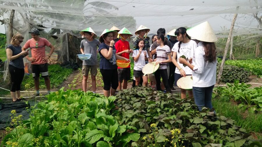 Full-Day Farming & Cooking class at Agricultural Village - Lunch, Dessert Surprise, and Your Take-Home Pack