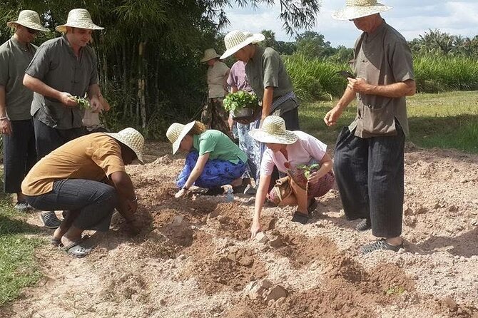 Full Day Siem Reap Farm Tour with Cooking Class and Monk Blessing - What to pack for a day that can get messy