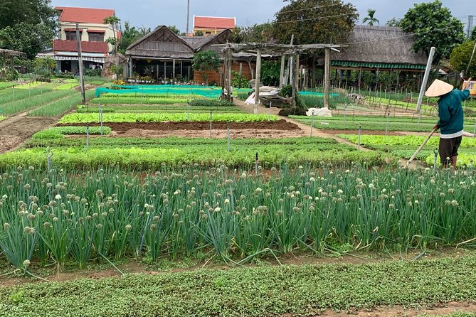 Full Experience Tour: Cooking Class & Basket Boat at Eco-Village - The sit-down meal at Tra Que Water Wheel: what to expect