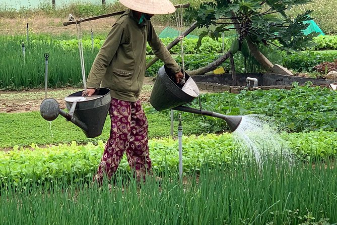 Full Experience Tour: Cooking Class & Basket Boat at Eco-Village - Basket boat rowing and water buffalo: fun with a farming feel