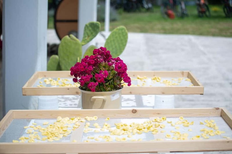 Gioia del Colle: Apulian Cooking Class in a Masseria - How the 3–3.5 hours really play out
