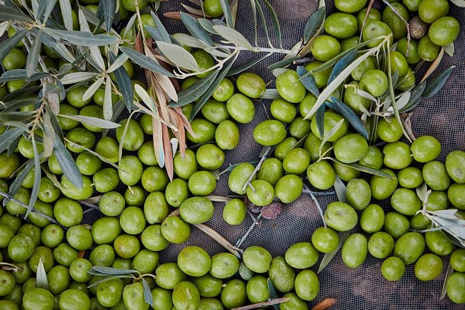 Gourmet Cooking Class & Culture in the rural Montes de Malaga. - Hands-On Cooking: What You’ll Actually Make