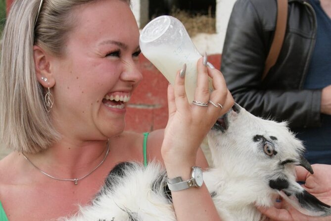 Gourmet Lunch Farm Tour with Cooking Class - The Six-Course Lunch: Farm-to-Table Presentation With Serious Value