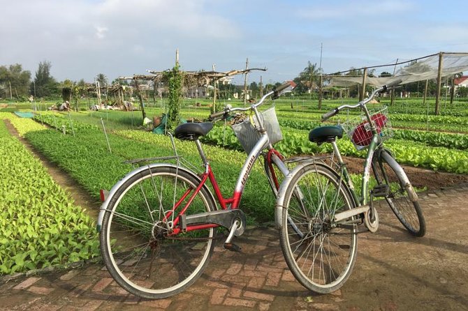 Half Day Cooking Class At Tra Que Vegetable Village Hoi An - From Ba Le Market to Tra Que: how the day actually flows