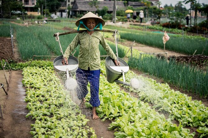 Half Day Cooking Class At Tra Que Vegetable Village Hoi An - The countryside bicycle ride: scenic, practical, and not too intense