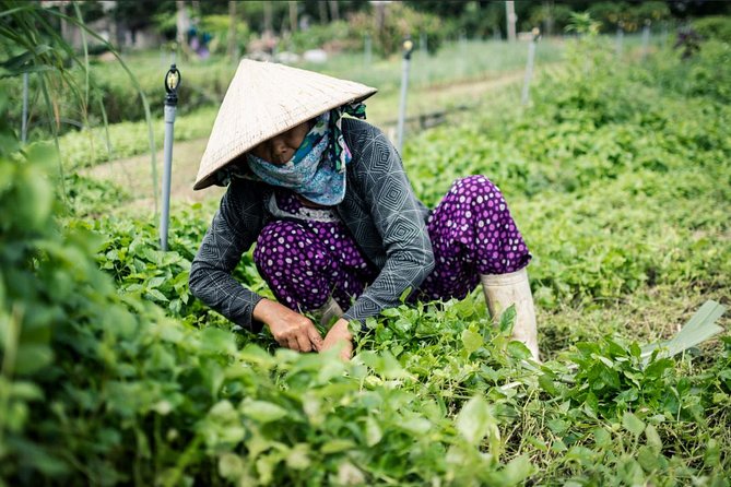 Half Day Cooking Class At Tra Que Vegetable Village Hoi An - The cooking class: hands-on Master Chef energy