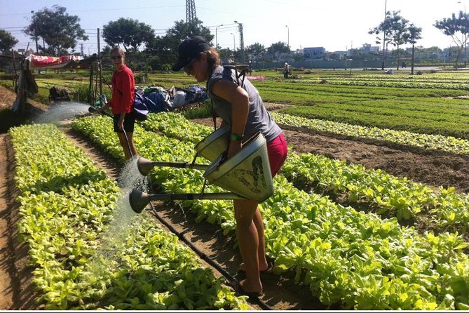 Half Day Cooking Class At Tra Que Vegetable Village Hoi An - What you’ll actually take home (besides recipes)