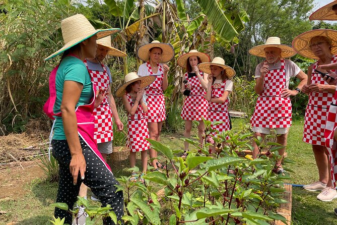 Half-Day Thai Cooking Class at Organic Farm in Chiang Mai - Key things I’d plan around before you go