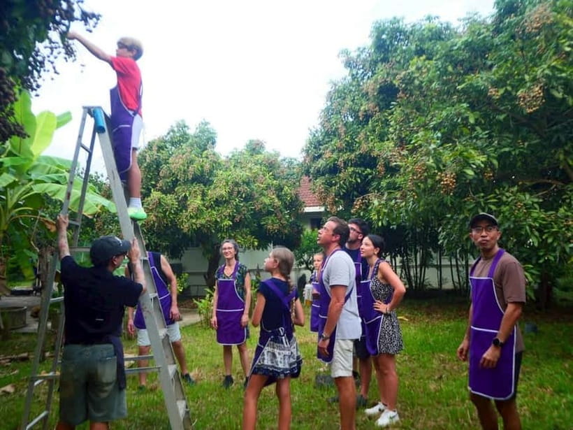 Half-Day Thai Cooking Class on a Local Farm Near Chiang Mai - Herb Garden Stroll at Smile Organic Farm