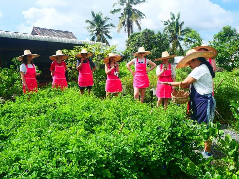Half-Day Thai Cooking Class on a Local Farm Near Chiang Mai - Hands-On Cooking: Curry Paste, Pad Thai, Tom Yum Goong, and More