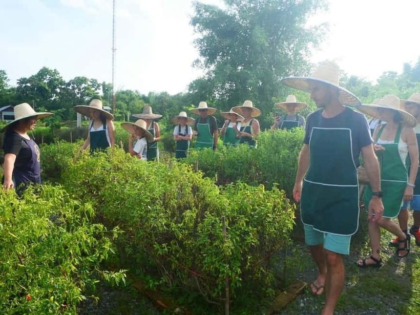 Half-Day Thai Cooking Class on a Local Farm Near Chiang Mai - Who Should Book This Half-Day Farm Class