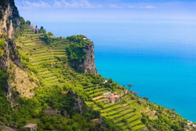Hands-On Cooking Class & Farmhouse Tour on the Amalfi Coast - Grove tour: lemons, olives, and vineyard storytelling