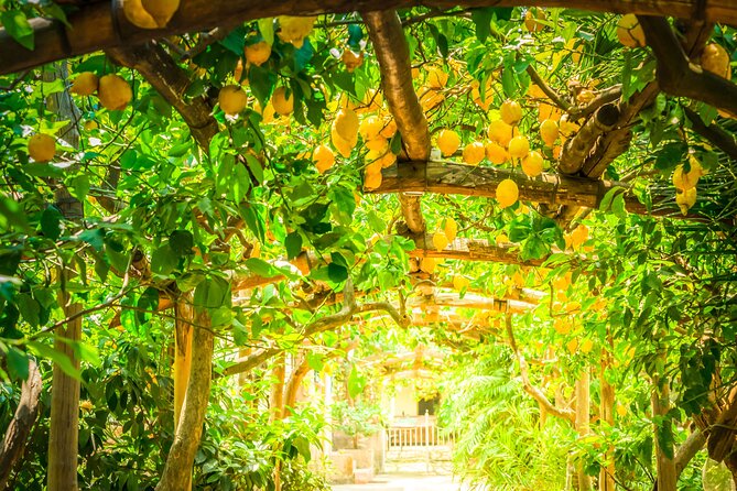 Hands-On Cooking Class & Farmhouse Tour on the Amalfi Coast - Price and value: is $156 worth it?