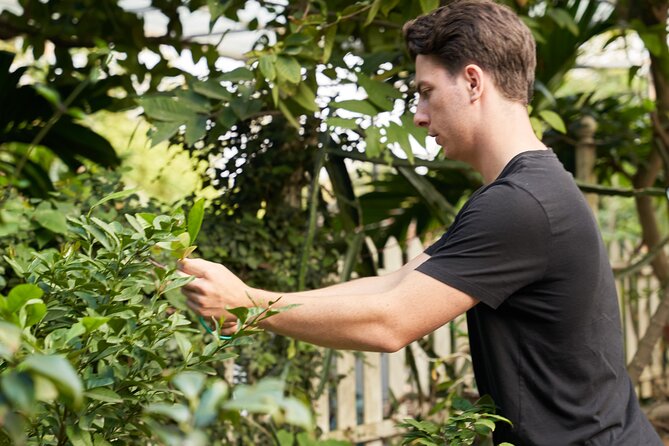 Hanoi Cooking Class in a Haven of Tranquility - Thom culinary - Thơm Culinary’s Quiet Garden House: Tranquility With a Purpose