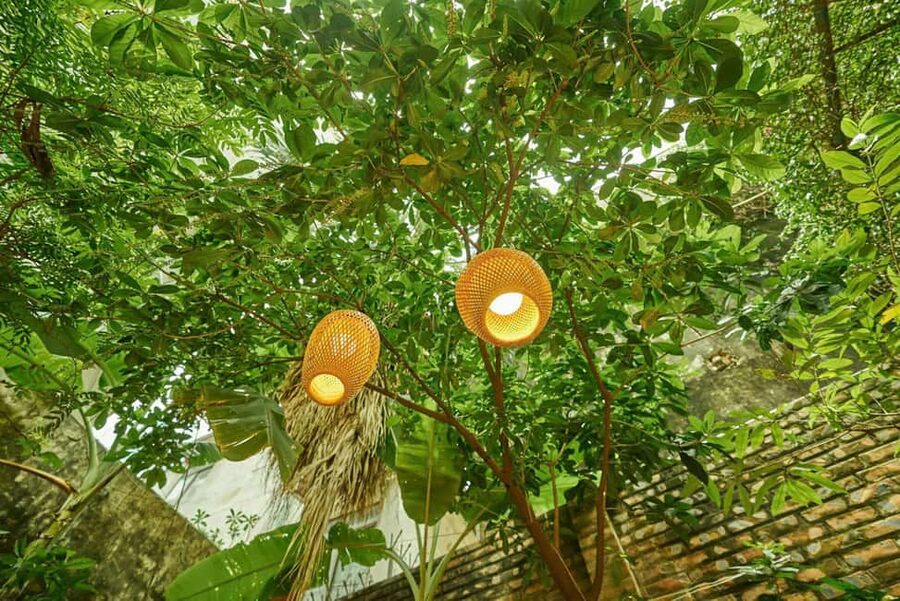 Hanoi Cooking Class: Pho/Bun Cha/Nem + Free Egg/ Salt Coffee - Key Things I’d Watch For
