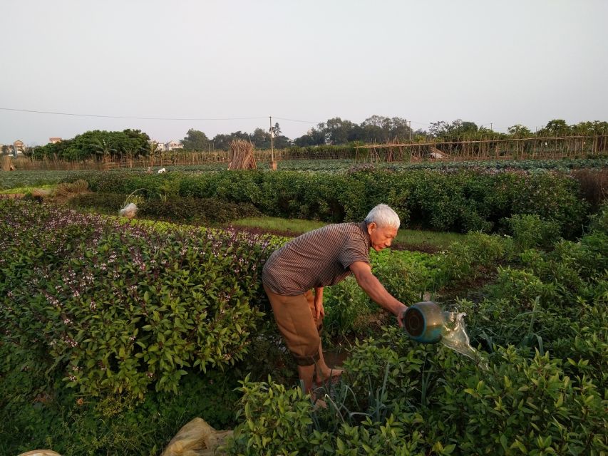 Hanoi Farm Tour and Cooking Class with Local Family - Who This Tour Is Best For