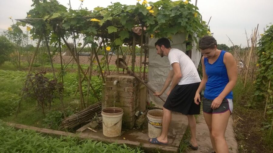 Hanoi Farm Tour and Cooking Class with Local Family - Should You Book the Hanoi Farm and Cooking Class?