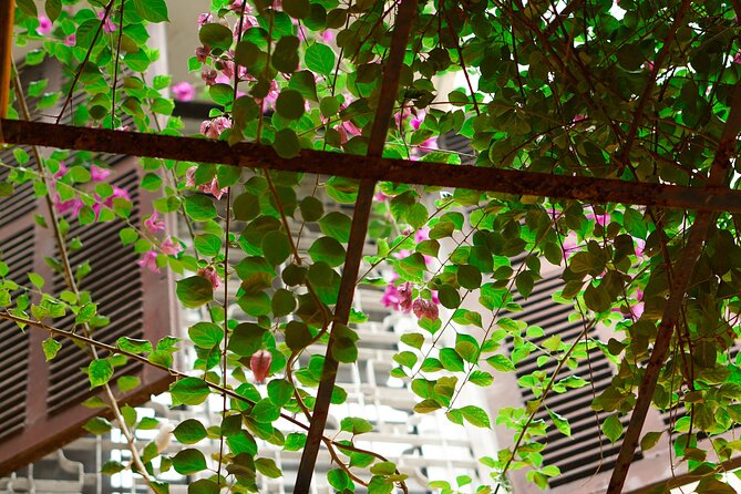 Hanoi: Handcrafted Wood Carving Workshop with Local Artisan - Your Morning or Afternoon in Real Life: What Happens During the Session