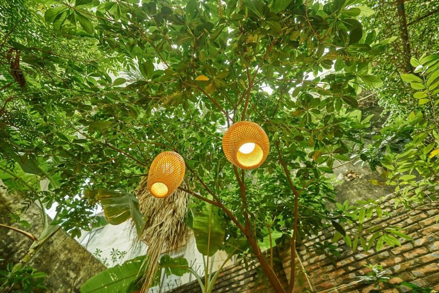 Hanoi’s Culinary: Authentic Cooking Class and Local Market - Cooking at a garden-villa kitchen: how you end up making 3 real dishes