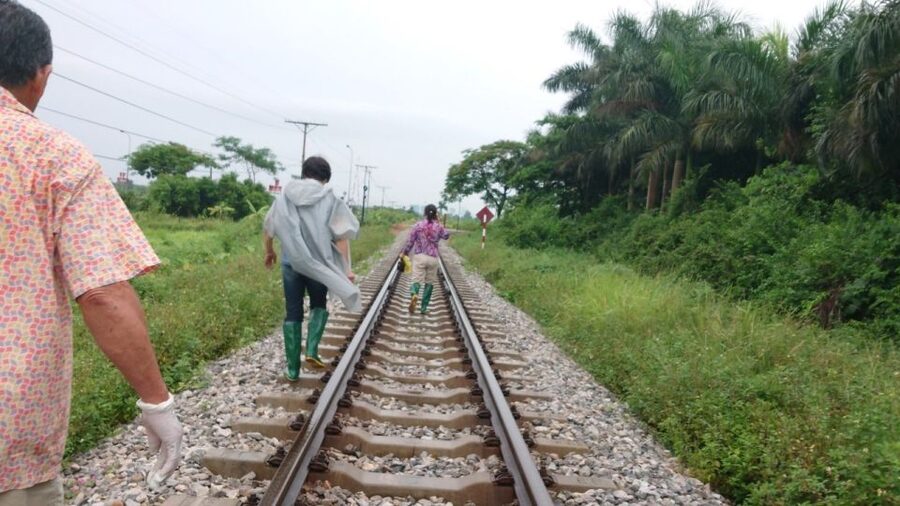 Hanoi: Village Farm Tour and Cooking Class with Lunch - Timing, Transportation, and Why the Day Feels Like More Than an Excursion