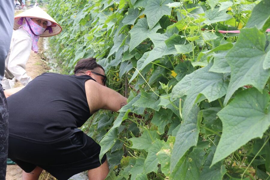 Hanoi: Village Farm Tour and Cooking Class with Lunch - Organic Pig Farm Visit: What Happens After the Vegetables