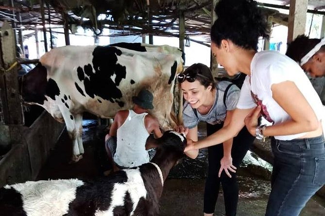Ho Chi Minh City Full-Day Farm trip with Healthy Cooking Class - From HCMC pickup to farm gates: how the day starts