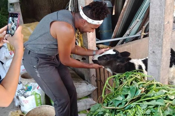 Ho Chi Minh City Full-Day Farm trip with Healthy Cooking Class - Ingredient picking and fruit breaks: the practical fun part