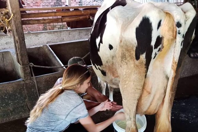 Ho Chi Minh City Full-Day Farm trip with Healthy Cooking Class - Value check: is $73 worth a full day of farm + cooking?