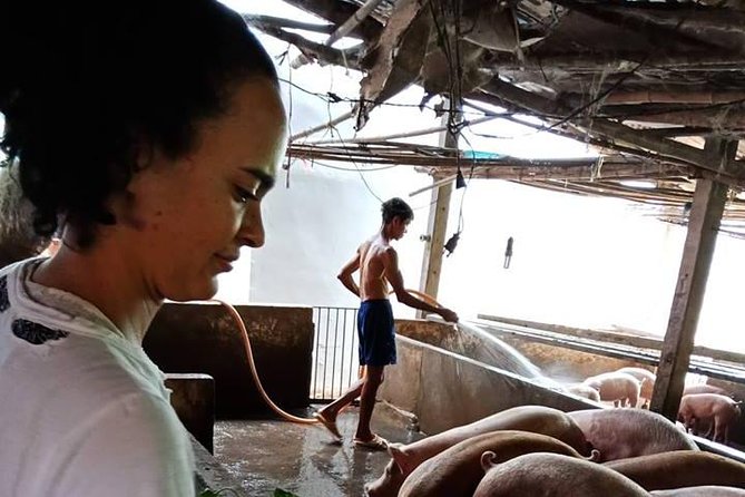 Ho Chi Minh City Full-Day Farm trip with Healthy Cooking Class - The organic farm walk: animals, feed, and what you’re meant to learn