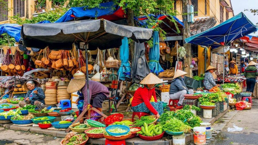 Hoi An: Authentic Cooking class in organic Herb Village - Tra Que feels more real than most Hoi An food tours