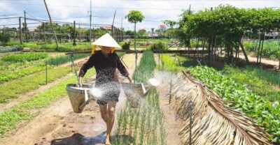 Hoi An: Authentic Cooking class in organic Herb Village - The market stop: where you learn what ingredients mean