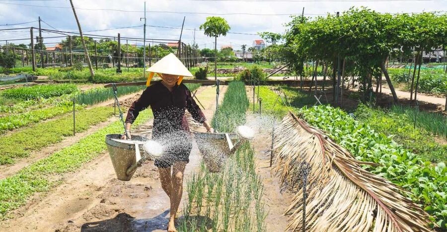 Hoi An: Authentic Cooking class in organic Herb Village - The market stop: where you learn what ingredients mean