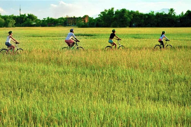 Hoi An Bicycle And Cooking Class Tour - Tra Que Vegetable Village: Farming You Actually Do