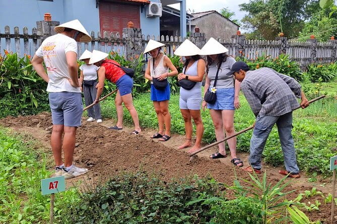 Hoi An Cooking Class & Vespa Cooking Adventure Tour - Tra Que Vegetable Village: Herb Picking With Real Flavor Payoff