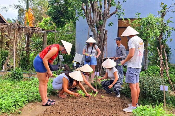 Hoi An Cooking Class & Vespa Cooking Adventure Tour - Lunch and the Taste Test: Eating What You Built