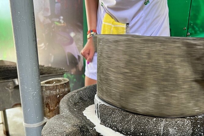 Hoi An cooking class with Basket Boat Tour - What $8 Covers—and What You Should Bring