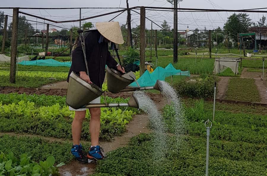 Hoi An Cooking Class With Market and Bamboo Basket Boat Tour - Meeting at 8:00: Pickup, a quick plan, and how the day stays easy
