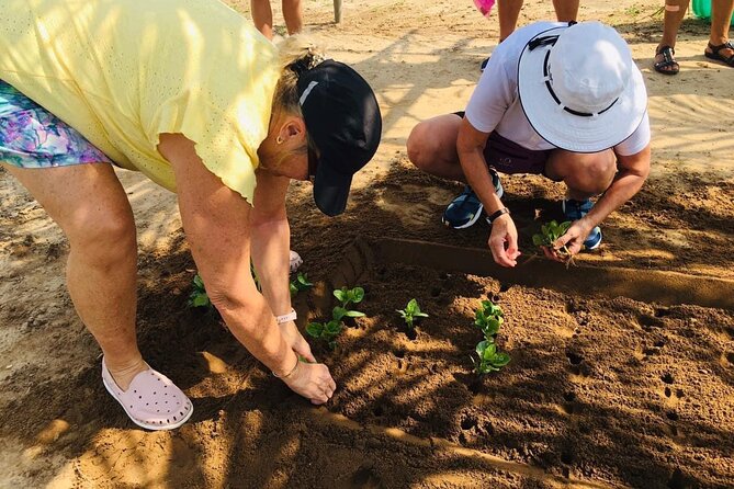 Hoi An Local Market and Vegetable Village Cooking Class - Tra Que Vegetable Village: Organic Farming You Can Taste