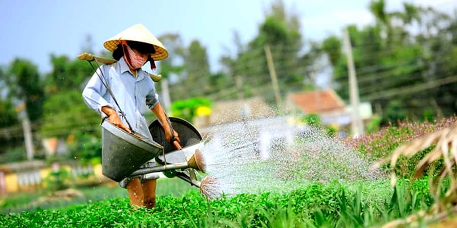 Hoi An: Tra Que Herb Village Cooking Class - Should You Book the Hoi An Tra Que Cooking Class?