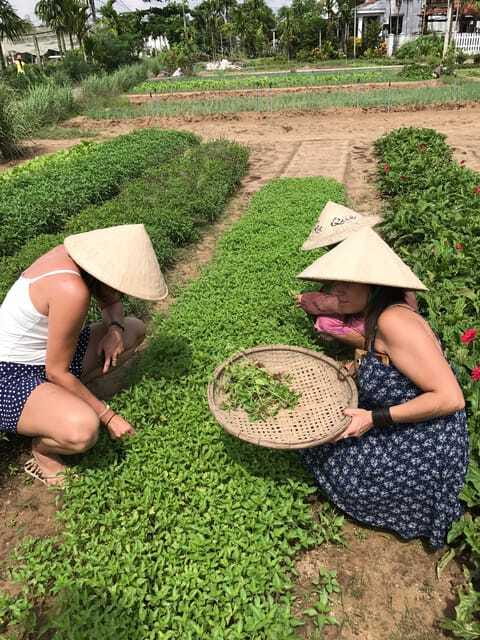 Hoian/Da Nang: Fishing, basket riding and cooking class - Should you book this Hoi An food and fishing 3-in-1?