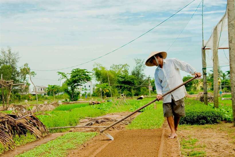 Hoian/Da Nang: Fishing, basket riding and cooking class - River views, coconut palms, and the round net