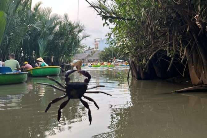 HoiAn:Making Lantern & Cooking Class-BasketBoat Ride,Crab fishing - Cooking Class in a Coconut Cooking House: Chef Tim’s Step-by-Step Style