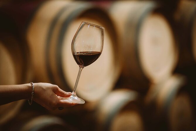 Italian Cooking Class and Wine Tasting in Tuscany - Logistics That Make or Break the Experience