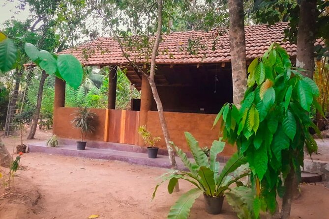 Kandy Village Cooking Class - Key highlights you’ll feel right away